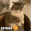 gêmeos I