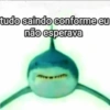 Gatinhos 12