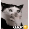 câncer D