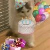 FELIZ ANIVERSÁRIO 🥳 15