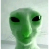 Memes - Gato Alien Verde 🟢🐈 13