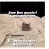 Love yani aşk 22