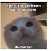 Love yani aşk 20