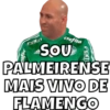 Flamengo 14