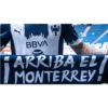 RAYADOS DE MONTERREY 15