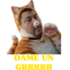 Pana 17