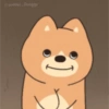 Doogy 11