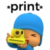 *print*
