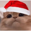 Navidad  9