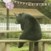 Animalitos 6