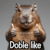 @hose stickersi Doble like