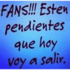 Amordelconurbano  20
