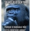 E o narga? 16