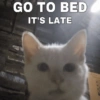 GO TO BED IT'S LATE @softcatmemes