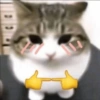 Gatitos😽 6