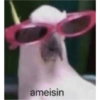 Memes xd 24