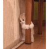 Kucing Lucu 1 5