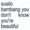 susilo bambang you don't know you're beautiful