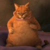 Miau 10