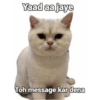 Chatpate Couple Stickers Part2 6