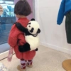 Rohee new 6