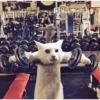 765
