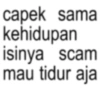 capek sama kehidupan isinya scam mau tidur aja