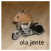 ola jente