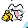 Kitty 6