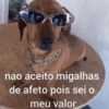 MELHORES FORAS 🤣 13