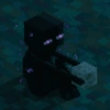 Minecraft Random 🌳🐝 25