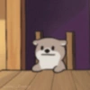 Doogy 8