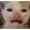 Memes random 3 24