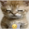 Kitty cats 2 13