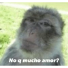 Monkey's  27
