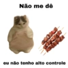 Meme gatos 6
