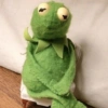 Ranita RENÉ! 🐸 4