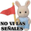 NO VI LAS SEÑALES