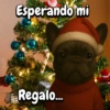 Navidad Bulldog templates🐾🎄✨ 12