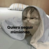 Quiero seguir mimiendo