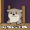 iyaiya aku diem.
