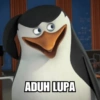 ADUH LUPA