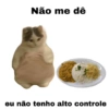 Meme gatos 11