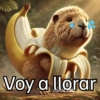 Voy a llorar