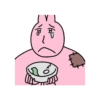 Pink korea rabbit  13