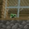 Minecraft Random 🌳🐝 5
