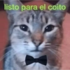 Memes random 3 20