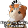 Espera me carga tu estupidez