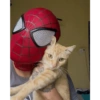 Homem aranha 15