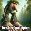 brr brr patapim